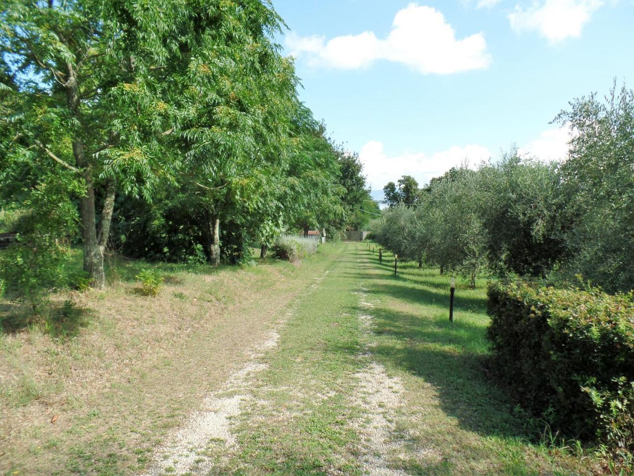 Poggiolindo B&B Capodimonte Exteriér fotografie
