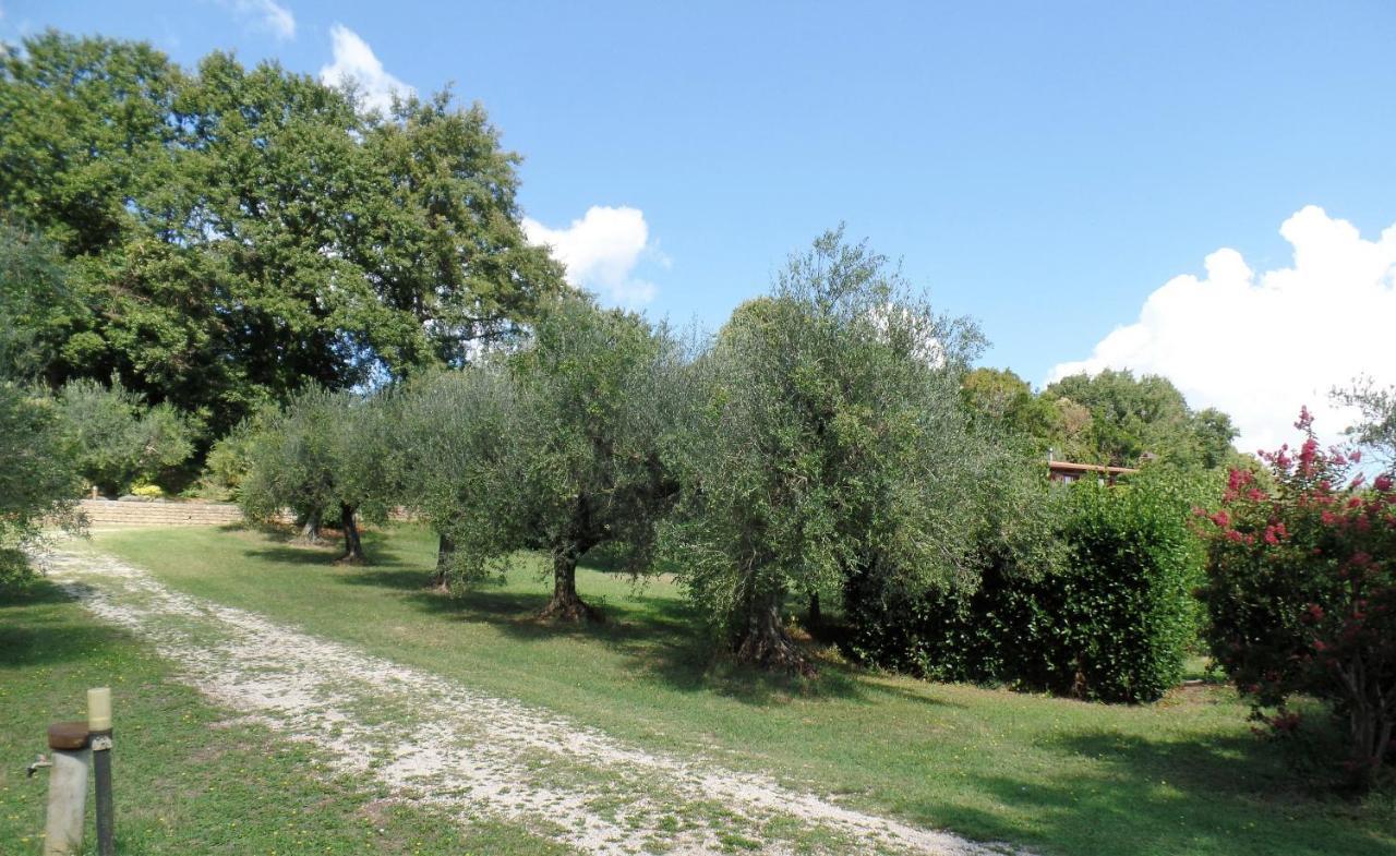 Poggiolindo B&B Capodimonte Exteriér fotografie