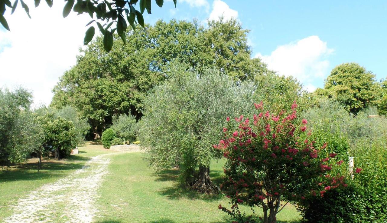 Poggiolindo B&B Capodimonte Exteriér fotografie